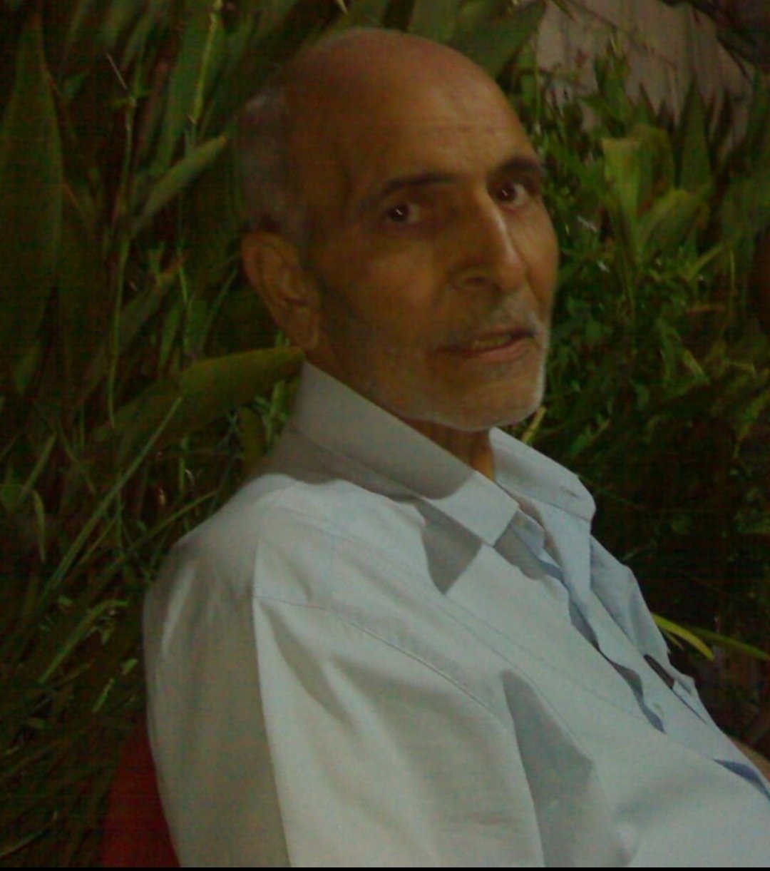 الحاج حمدان محمود البيش