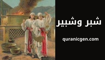 مقال يسلط الضوء على الأبعاد الرمزية واللغوية للأسماء شبر وشبير وناداب وأبيهو، كجسر يربط بين التراث الإسلامي واليهودي في إطار القيادة الروحية والتاريخ المشترك.